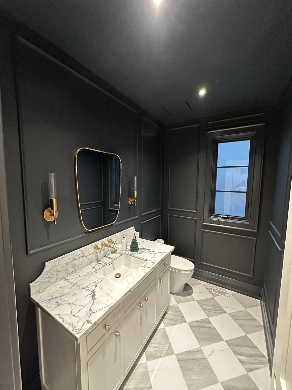 Dark painted bathroom